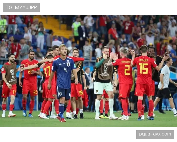 亚美尼亚球迷以激情与团结铸就赛场外强大社群文化