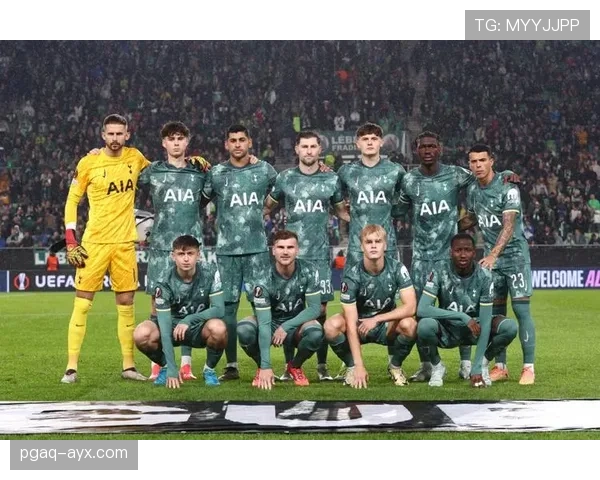 热刺新赛季阵容深度解析：挑战与亮点并存，前景趋势初现