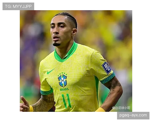 拉菲尼亚为何难以成为巴西队核心 拉菲尼亚为何难以成为巴西队核心